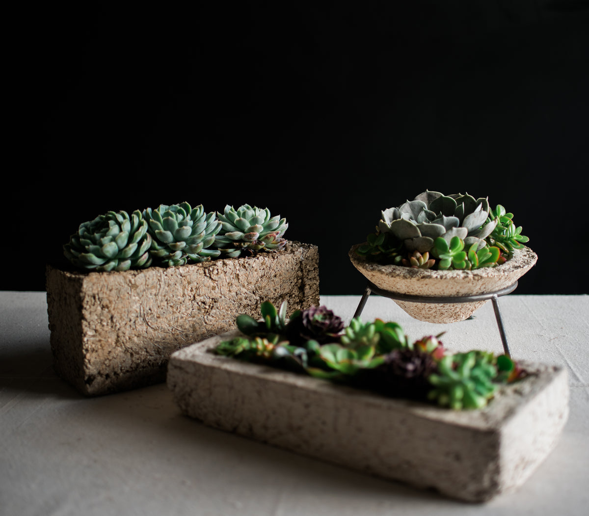 Mini Cactus & Succulent Cone Shaped Planter - DIY Kit