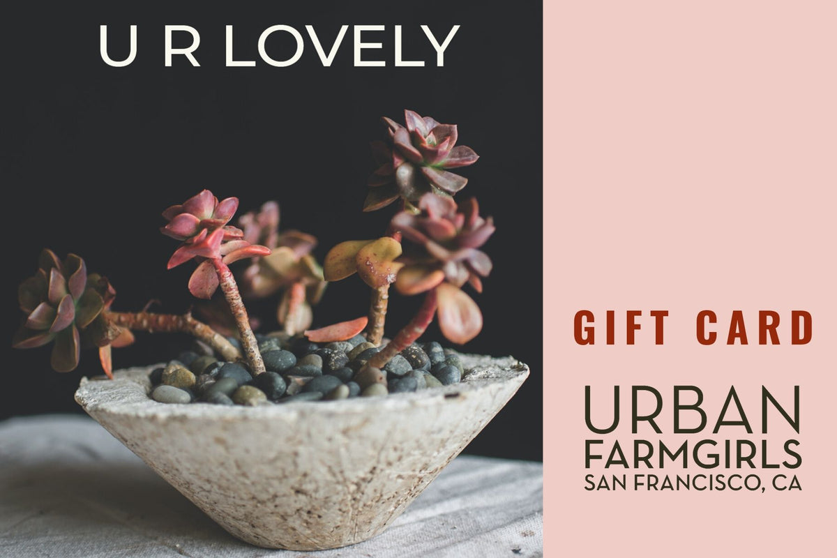succulent gift card URBAN FARM GIRLS GIFT CARDS – ShopUrbanFarmgirlsCo