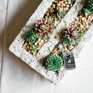 Hollywood trough is a great centerpiece for any home.