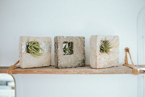 Our lightweight modern airplant garden sconce is easy to hang on the wall for a vertical garden effect or use in your table design for the indoor or outdoor garden.