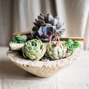 Garden decor - lightweight modern designer planters for garden design, table design and landscape design.