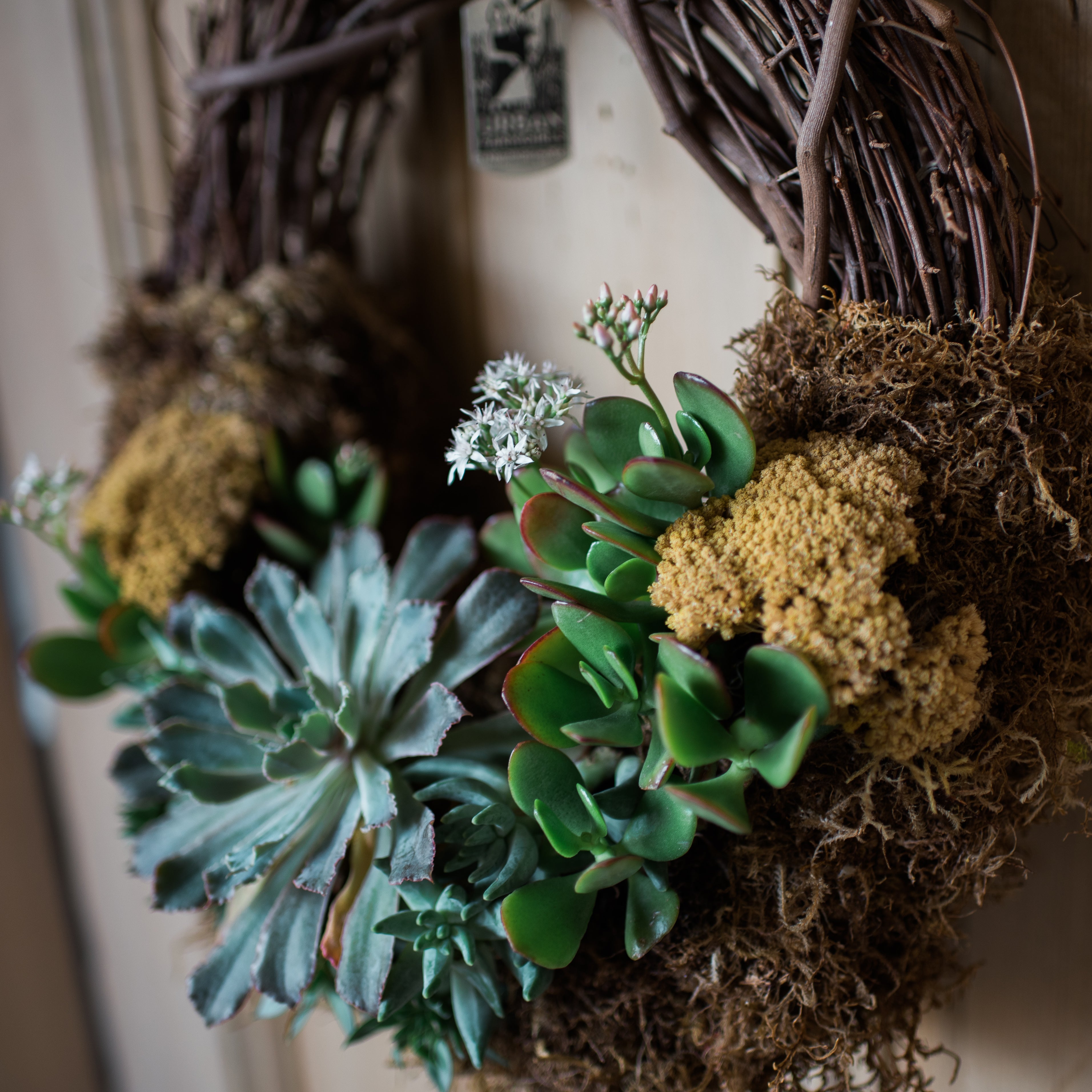 An Urban Farmgirls favorite, it’s perfect for creating a vertical garden indoors and out. Made from grapevine trimmings from the California wine country. Moss, dried flowers and locally sourced drought tolerant succulents adorn the bottom half of the wreath while the top half is exposed woven grapevines. With a dirt base, the plants are living specimens, are easy to care for and long-lasting. Each piece is unique and plants will vary slightly. 12” diameter. Send the perfect living green gift.