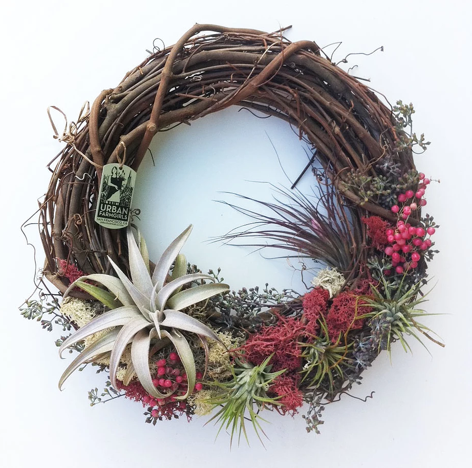 An Urban Farmgirls favorite, it’s perfect for creating a vertical garden indoors and out. Made from grapevine trimmings from the California wine country. Red and green moss, dried flowers, pink peppercorns and drought tolerant air plants adorn the bottom half of the wreath while the top half is exposed woven grapevines. It’s easy to care for and long-lasting. Each piece is unique and plants will vary slightly. 12” diameter. Send the perfect living green gift.
