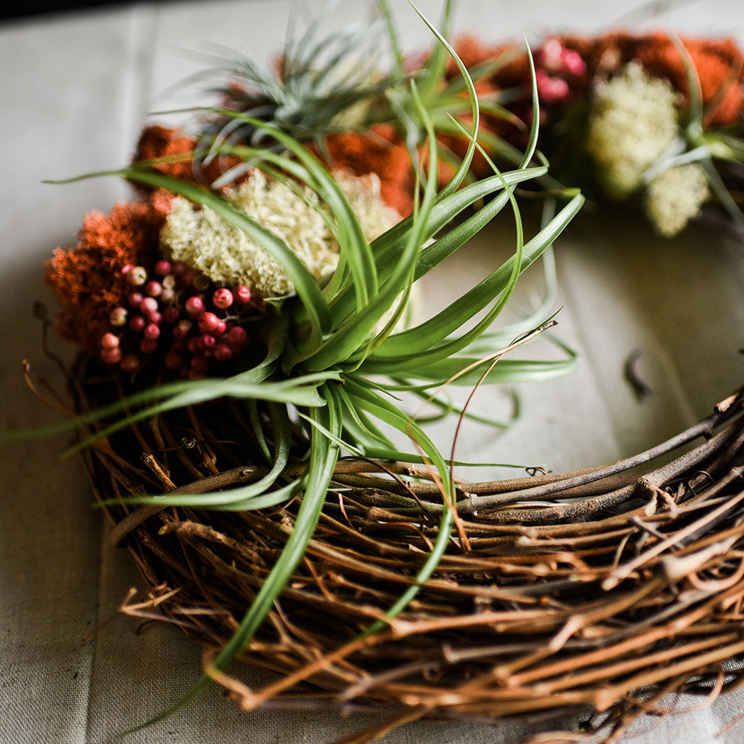 An Urban Farmgirls favorite, it’s perfect for creating a vertical garden indoors and out. Made from grapevine trimmings from the California wine country. Red and green moss, dried flowers, pink peppercorns and drought tolerant air plants adorn the bottom half of the wreath while the top half is exposed woven grapevines. It’s easy to care for and long-lasting. Each piece is unique and plants will vary slightly. 12” diameter. Send the perfect living green gift.