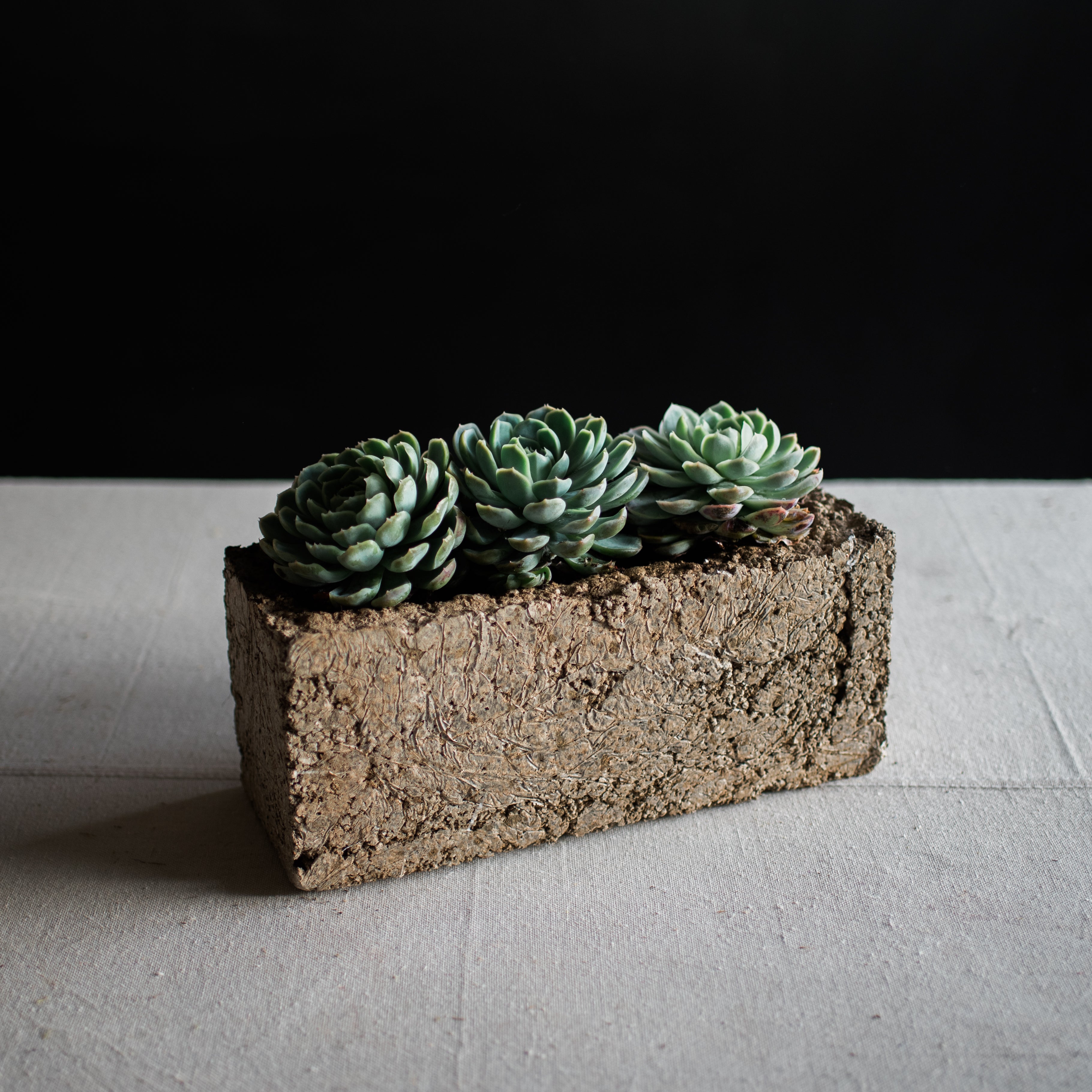 Modern Mini Farm Table Garden Planter - DIY Kit. Our Farm Table Planter Kit comes with all the succulents and soil you’ll need. This modern garden planter is handmade from our Pozzola pottery, it comes in a pale bone color, has the look and texture of washed stone, but is ultra lightweight, durable and crafted with love in our studio in San Francisco. Our Pozzola pottery is made of plant based and earth-friendly ingredients, an ideal environment for plants to thrive.