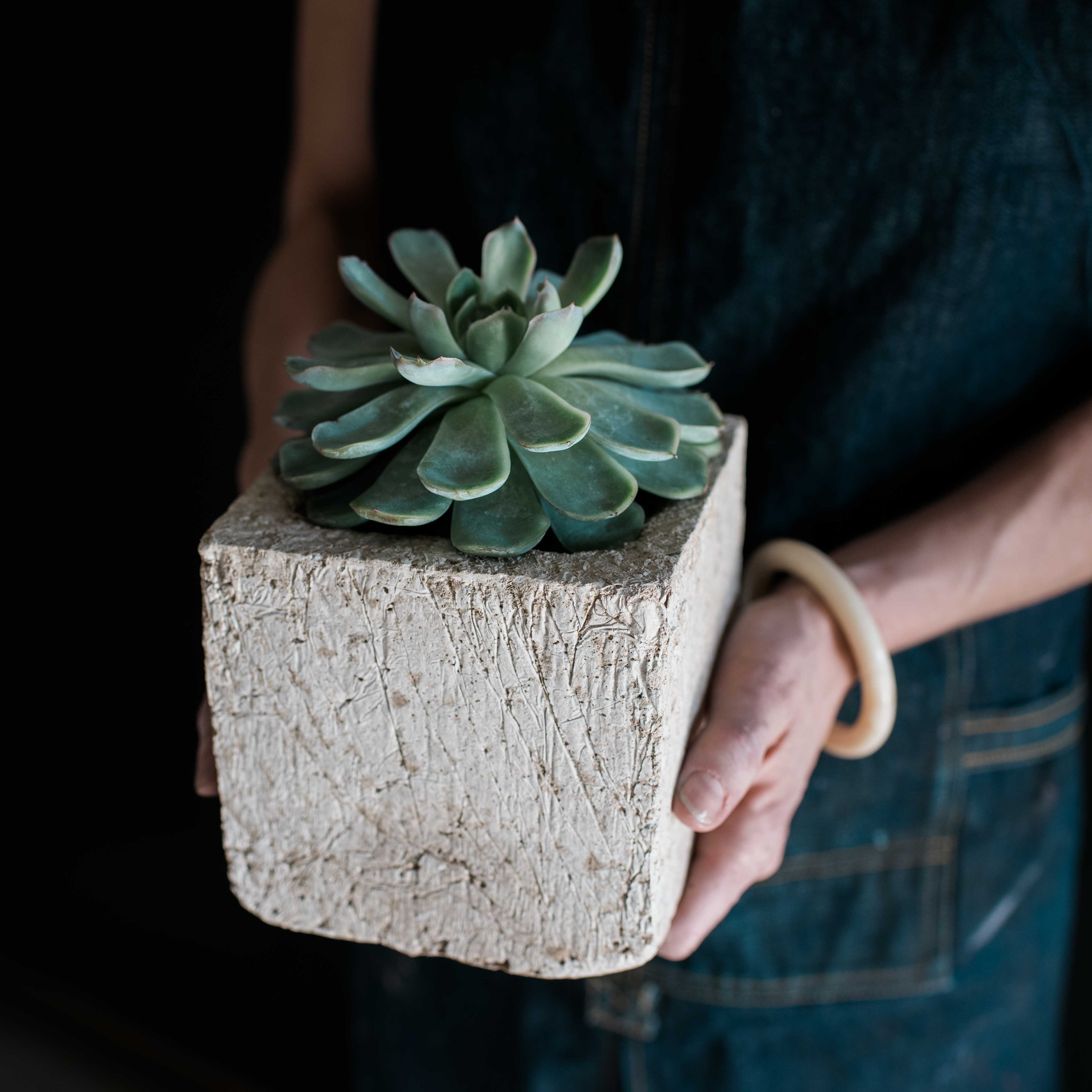 single succulent pot Lightweight Single Mini Cube Planter – ShopUrbanFarmgirlsCo