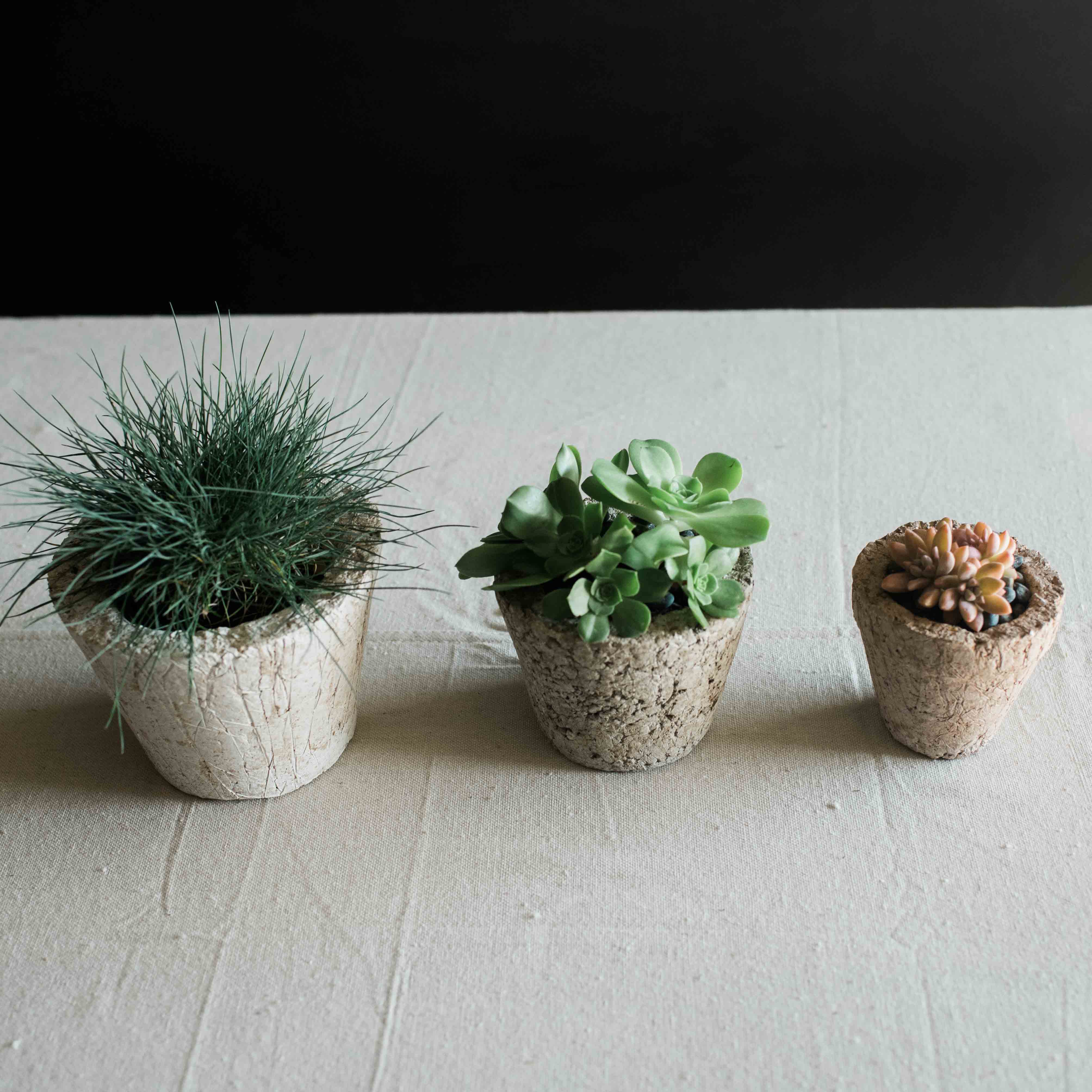 Our lightweight, durable handmade pozzola planters are the perfect starter pot for any plant in your garden. It's an ideal environment for healthy plants made of plant based and earth-friendly ingredients. Pozzola has the feel and texture of stone but is ultra light weight and come in natural shades of bone and slate grey. Each comes planted with a seasonal succulent and comes with an option of 3", 4" or 6" Diameters. These also make great gifts, send living arrangements instead of cut flowers.