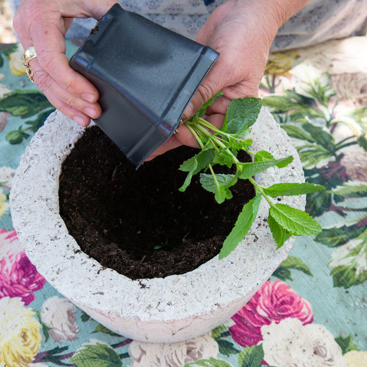 diy plant pot kit Organic Mint Herb Garden Planter