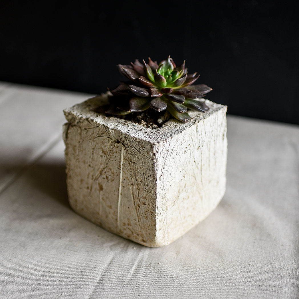 Made from our handmade lightweight Pozzola pottery.This bespoke living tablescape is a modern organic shaped square, it fits in the palm of both hands and is a pale grey color with the feel and texture of stone. Each unique piece uses locally sourced drought tolerant succulents. This modern planter makes it easy to create a sustainable garden inside and out. This is plant care made easy, drought tolerant living arrangements that last for years.