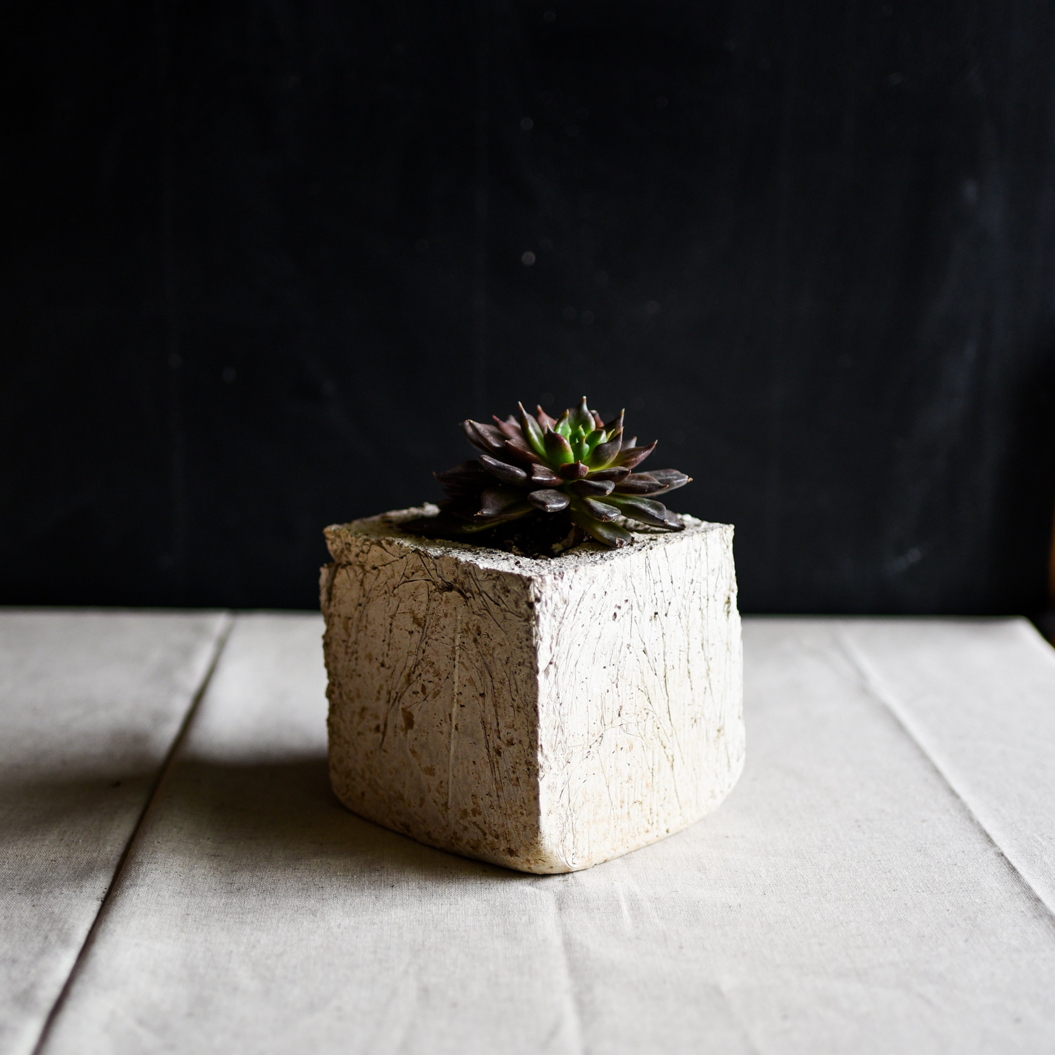 Made from our handmade Pozzola pottery. This modern bespoke living tablescape comes in a bone color and is planted with a seasonal variety of echeveria succulents. One organically shaped square, fits in the palm of both hands and has the feel and texture of washed stone but is ultra light weight. With locally sourced drought tolerant succulents, this planter makes it easy to create a sustainable garden inside and out.