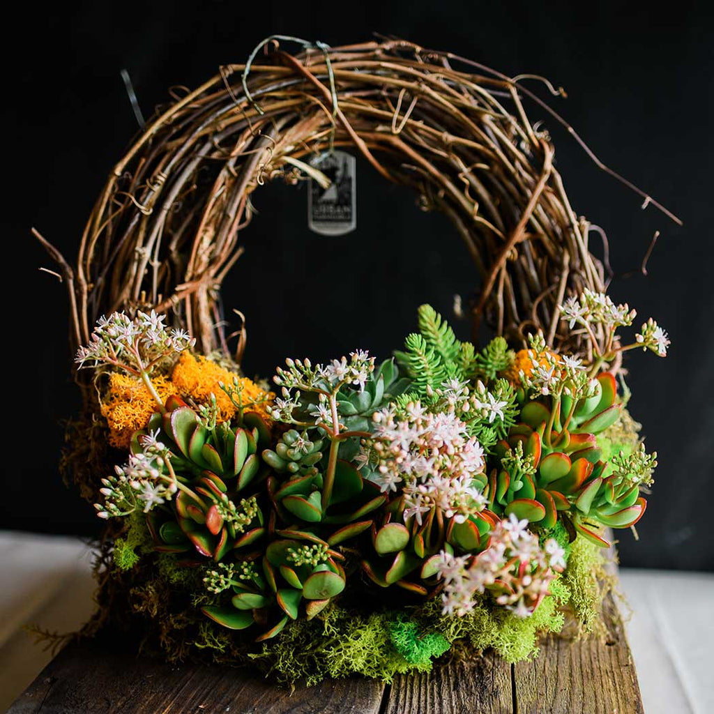An Urban Farmgirls favorite, it’s perfect for creating a vertical garden indoors and out. Made from grapevine trimmings from the California wine country. Moss, dried flowers and locally sourced drought tolerant succulents adorn the bottom half of the wreath while the top half is exposed woven grapevines. With a dirt base, the plants are living specimens, are easy to care for and long-lasting.12” diameter. Send the perfect living green gift.